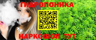 гашик Гай