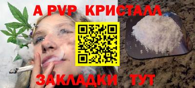 гашик Гай