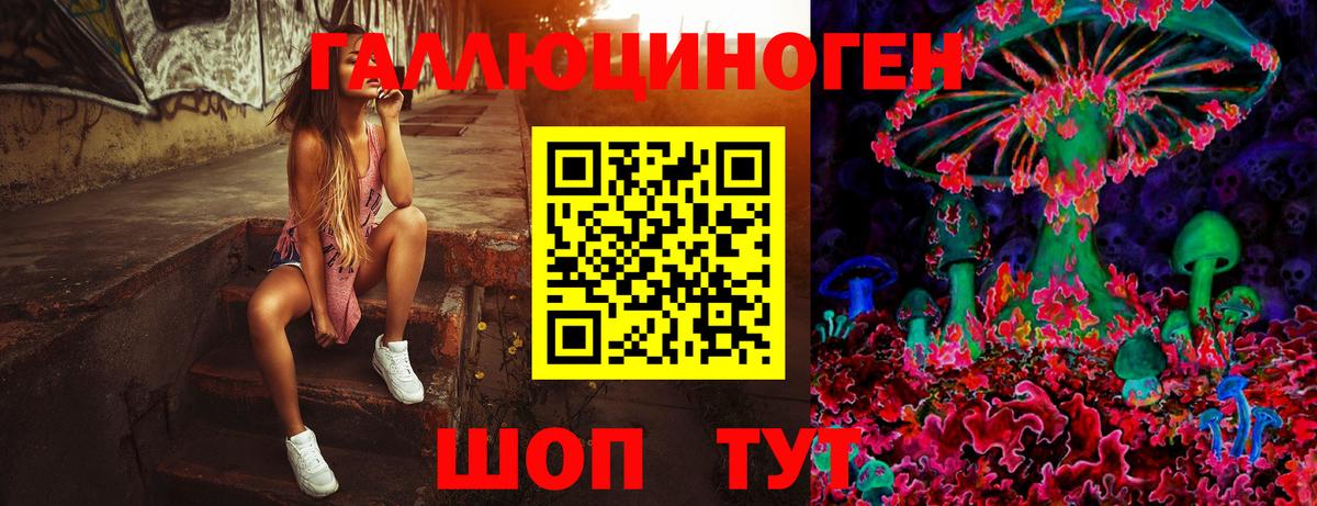 Галлюциногенные грибы Psilocybine cubensis Лесосибирск